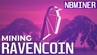 How To Mine Ravencoin  Ravencoin mining with NBminer [upl. by Wiedmann]