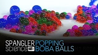 Popping Boba Balls  Cool Science Experiment [upl. by Adnahcir]