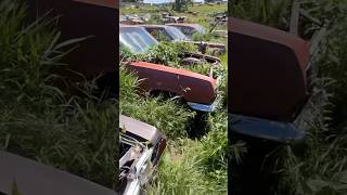 Chevy Impalas  Classic Car Junkyard [upl. by Ybbor]