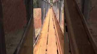 Walking across old bridge ￼￼in hanapepe bridge shorts hawaii river adventure amazing cool ￼￼ [upl. by Layton38]