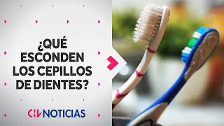 ¿QUÉ OCULTAN LOS CEPILLOS de Dientes Esto son los gérmenes que puedes encontrar en ellos [upl. by Hatnamas]