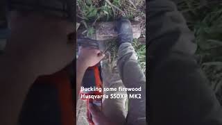 Bucking some firewood Husqvarna 550XP MK2trending shorts youtube viralvideo video chainsaw [upl. by Geibel]