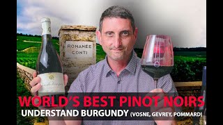 Finest Burgundy Wines  Your Guide to Top Pinot Noirs  VosneRomanée Pommard GevreyChambertin [upl. by Markland]