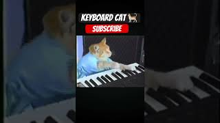 Keyboard Cat Original 1984 keyboardcat subscribe [upl. by Barnabas617]