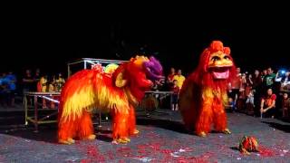 北师 Lion Dance at Sandakan 2016 [upl. by Ambrogino785]