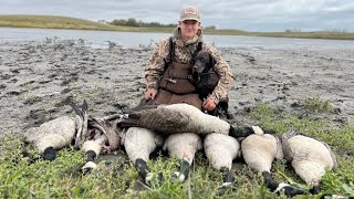 INSANE Solo DUCK and GOOSE LIMITS BANDED [upl. by Marr]